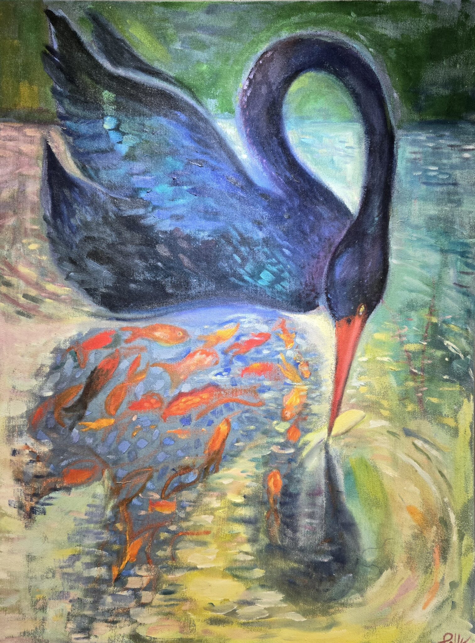 Polly's Black Swan